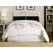Calvin Cal.King, E.King, Full, & Queen Bed - Furniture Home Store (Hanford, CA)