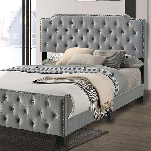 Charlize Bed Grey & Navy - Furniture Home Store (Hanford, CA)