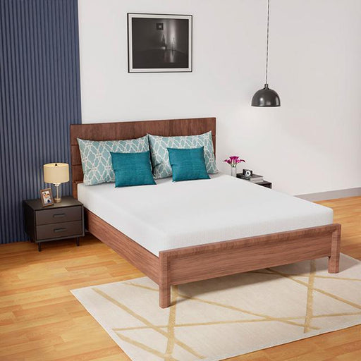 Coreopsis Mattress - Furniture Home Store (Hanford, CA)