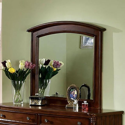 Spring Ray Mirror - Furniture Home Store (Hanford, CA)
