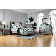 DAPHNE Gray Chest - Furniture Home Store (Hanford, CA)