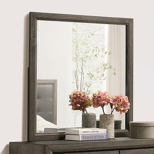 ROANNE Mirror - Furniture Home Store (Hanford, CA)