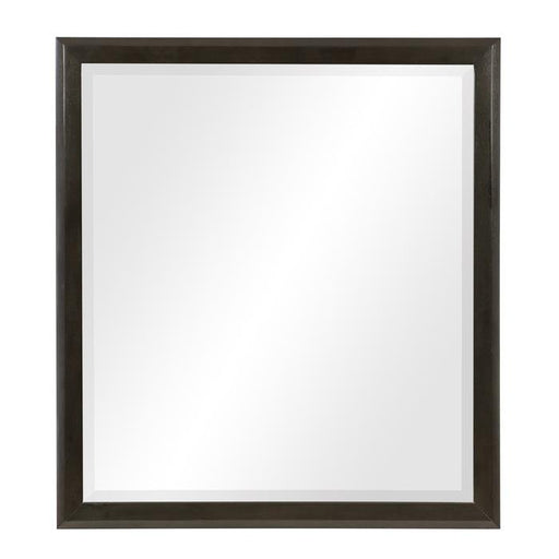 Hodgin Mirror - Furniture Home Store (Hanford, CA)