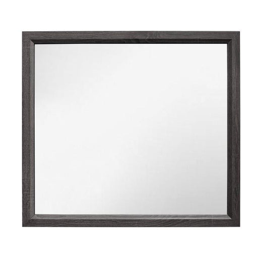 Davi Mirror in Gray 1645-6 - Furniture Home Store (Hanford, CA)