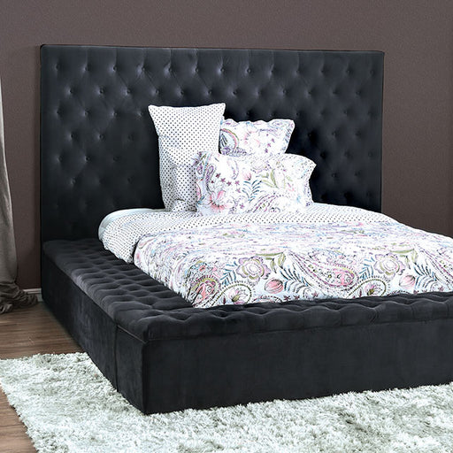 Davida Cal.King & E.King Bed - Furniture Home Store (Hanford, CA)
