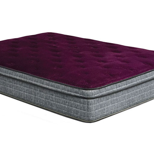 Minnetonka 13" Euro Pillow Top Mattress - Furniture Home Store (Hanford, CA)