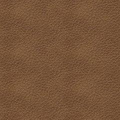 Bolsena Sofa Sleeper - Furniture Home Store (Hanford, CA)