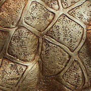 Ferrison Table Lamp - Furniture Home Store (Hanford, CA)