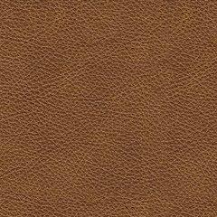 Carianna Loveseat - Furniture Home Store (Hanford, CA)