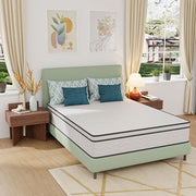 Catmint Mattress - Furniture Home Store (Hanford, CA)