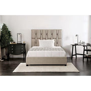Deirdre Twin Bed - Furniture Home Store (Hanford, CA)