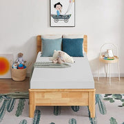 Artemisia 8" Memory Foam Mattress - Furniture Home Store (Hanford, CA)