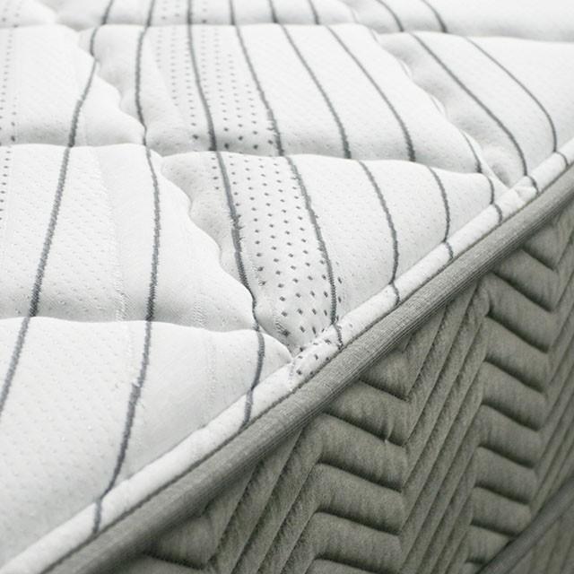 EDREA White/Gray 10" Tight Top Pocket Coil, Queen - Furniture Home Store (Hanford, CA)