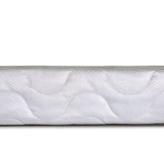 Bird Of Paradise 4" Queen-Size Foundation - Furniture Home Store (Hanford, CA)