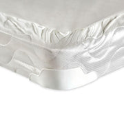 Bird Of Paradise 4" Queen-Size Foundation - Furniture Home Store (Hanford, CA)