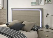 Rainier Bed Gray - Furniture Home Store (Hanford, CA)