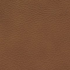 Magic Man 5-Piece Power Reclining Sectional - Furniture Home Store (Hanford, CA)