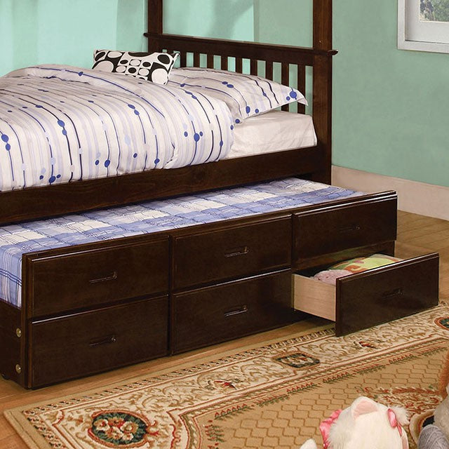 University I Dark Walnut Twin/Full Bunk Bed + Trundle - Furniture Home Store (Hanford, CA)